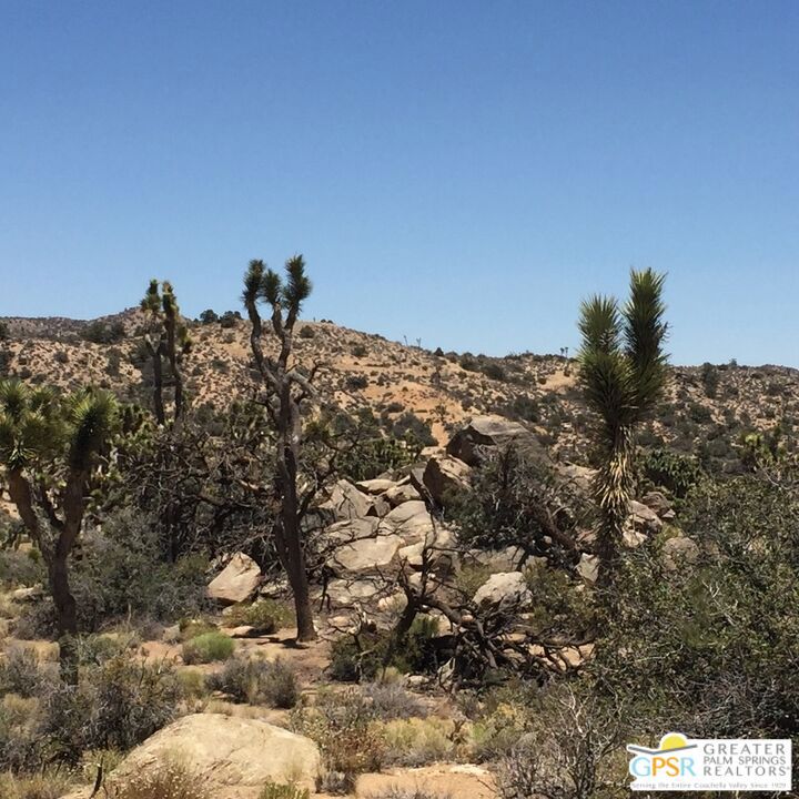 1430 Orion Property Photo 4