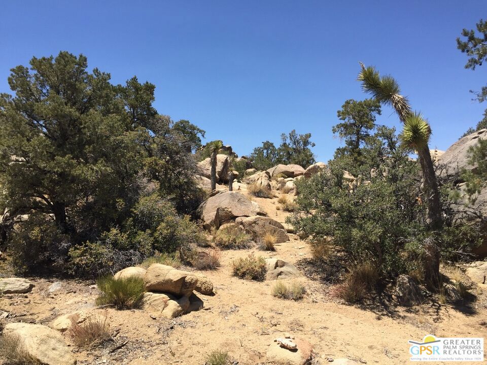 1430 Orion Property Photo 8