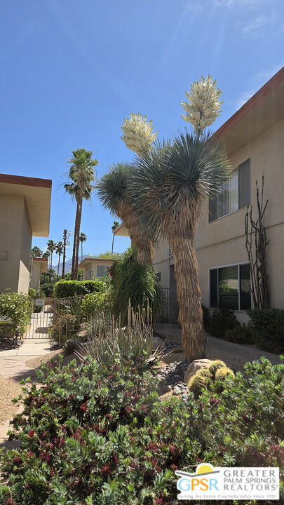 2290 S Palm Canyon Drive 114 Property Photo 17