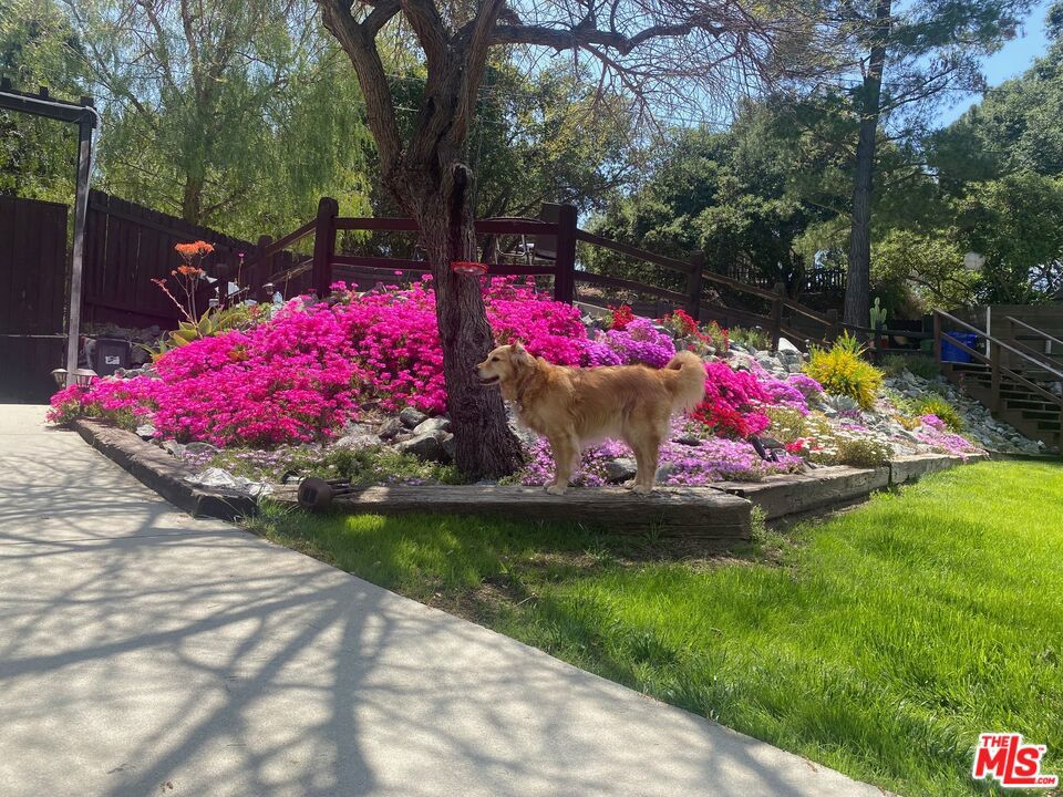 1640 Old Topanga Canyon Road Property Photo 14