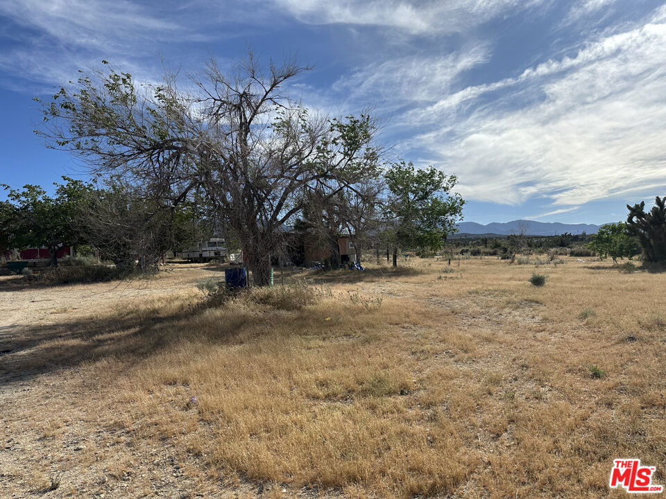 32049 213th Street Property Photo 3