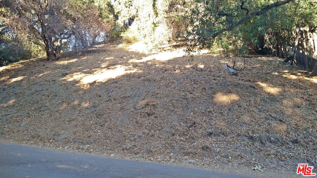 12300 Spring Trail Property Photo 2