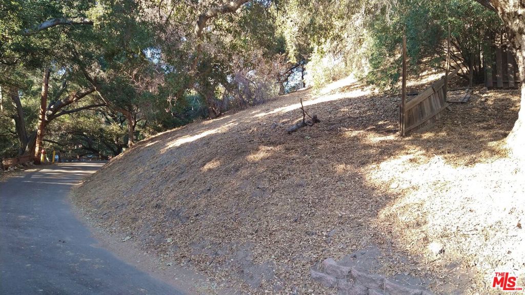 12300 Spring Trail Property Photo 4