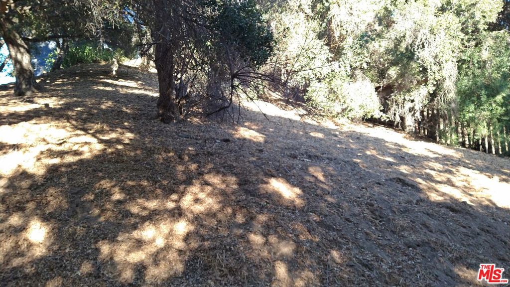 12300 Spring Trail Property Photo 8