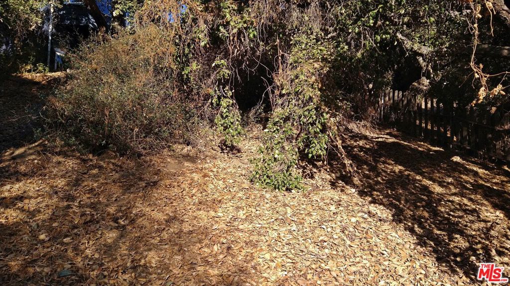 12300 Spring Trail Property Photo 9