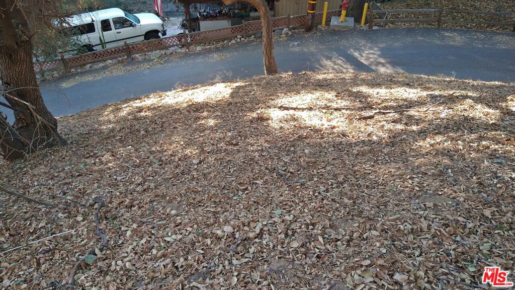 12300 Spring Trail Property Photo 11