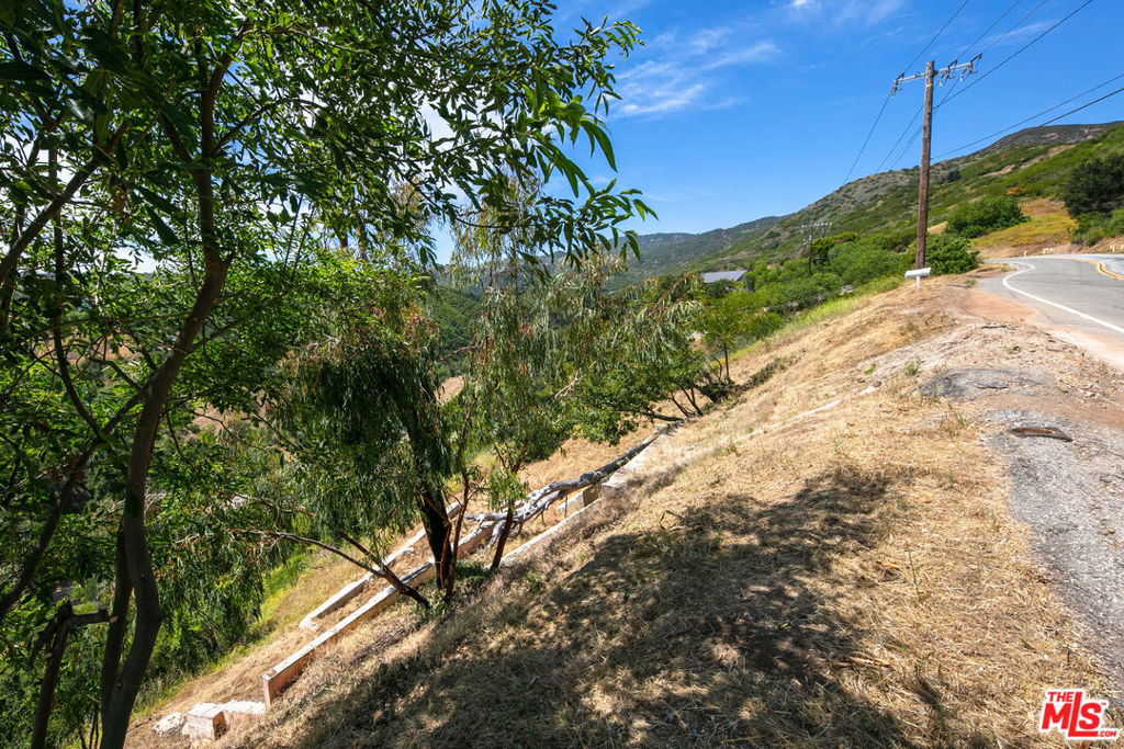 4015 Latigo Canyon Road Property Photo 11