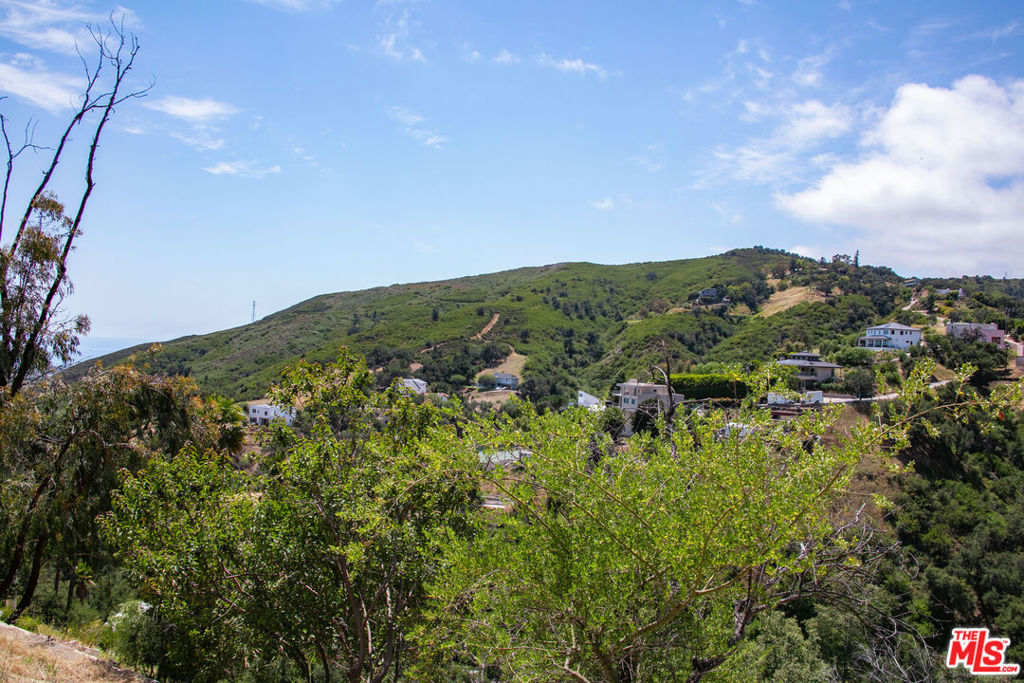 4015 Latigo Canyon Road Property Photo 15