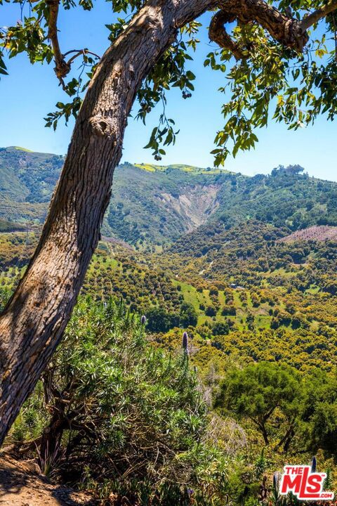 7200 Casitas Pass Road Property Photo 27