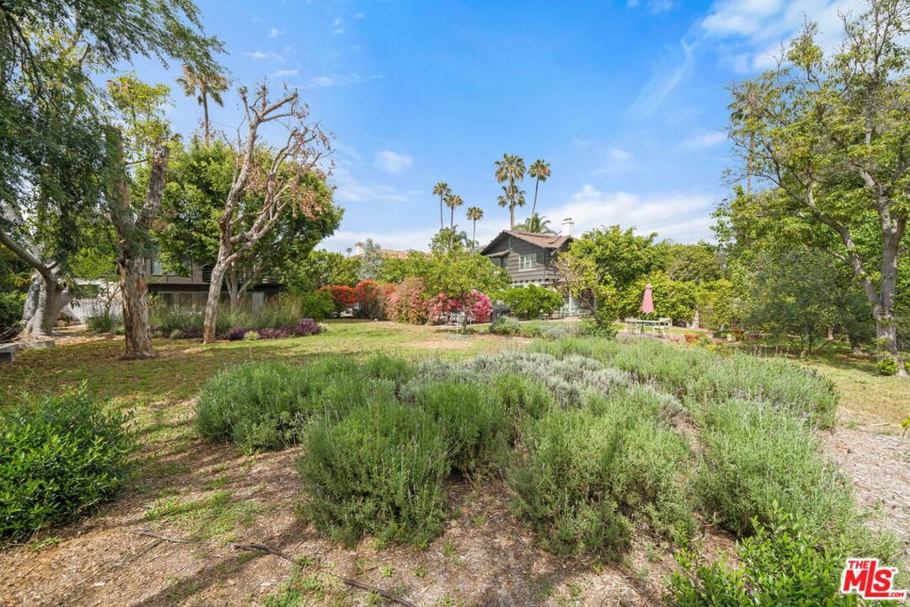 801 N Rodeo Drive Property Photo 48