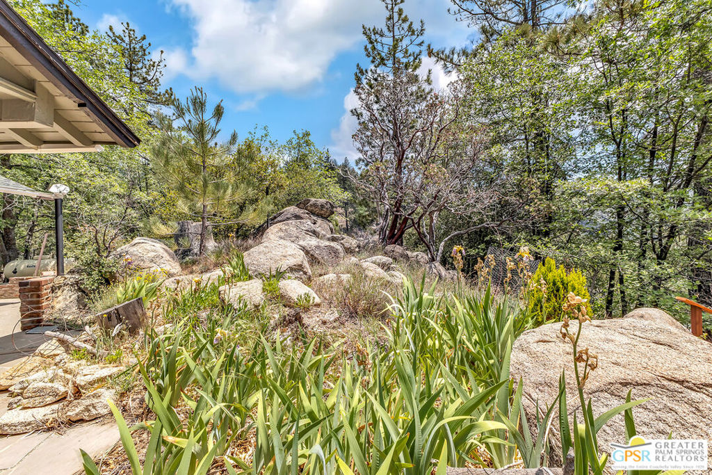21395 Highway 243 Property Photo 55