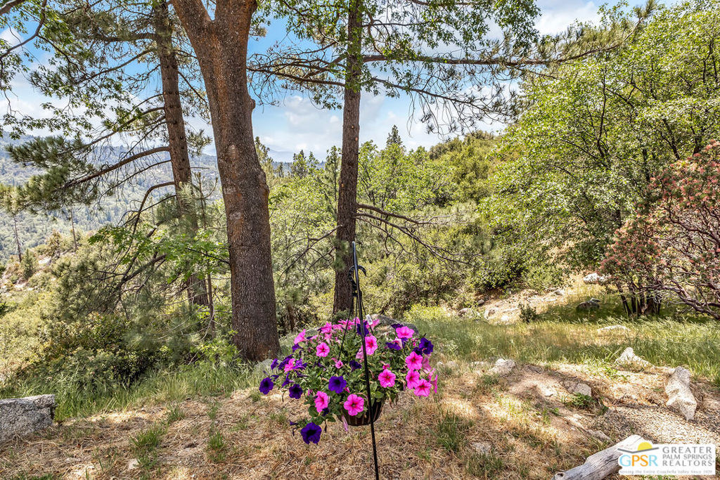 21395 Highway 243 Property Photo 74