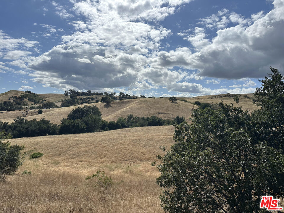 24962 Eldorado Meadow Road Property Photo 1