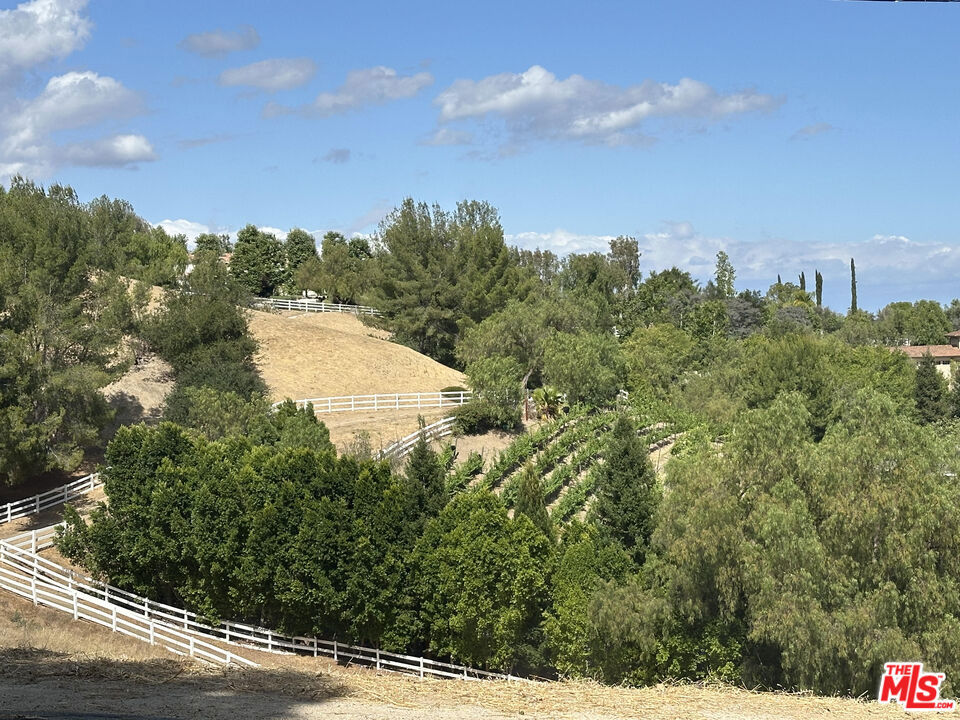 24962 Eldorado Meadow Road Property Photo 2