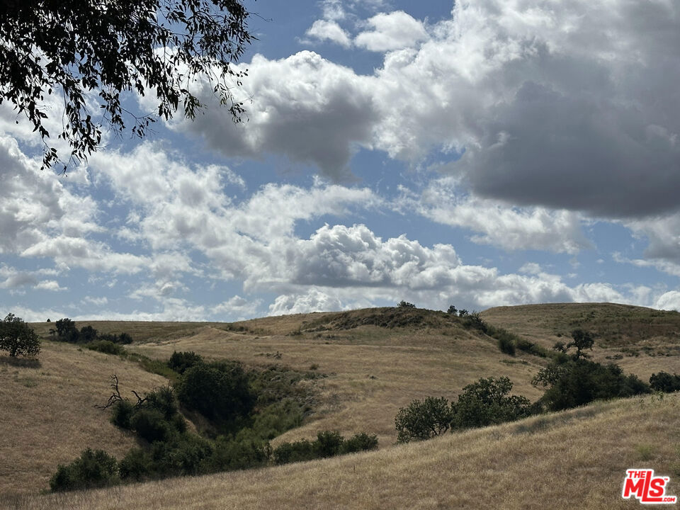 24962 Eldorado Meadow Road Property Photo 16