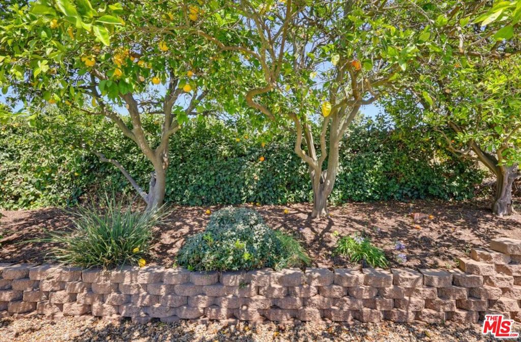991 Montgomery Court Property Photo 25