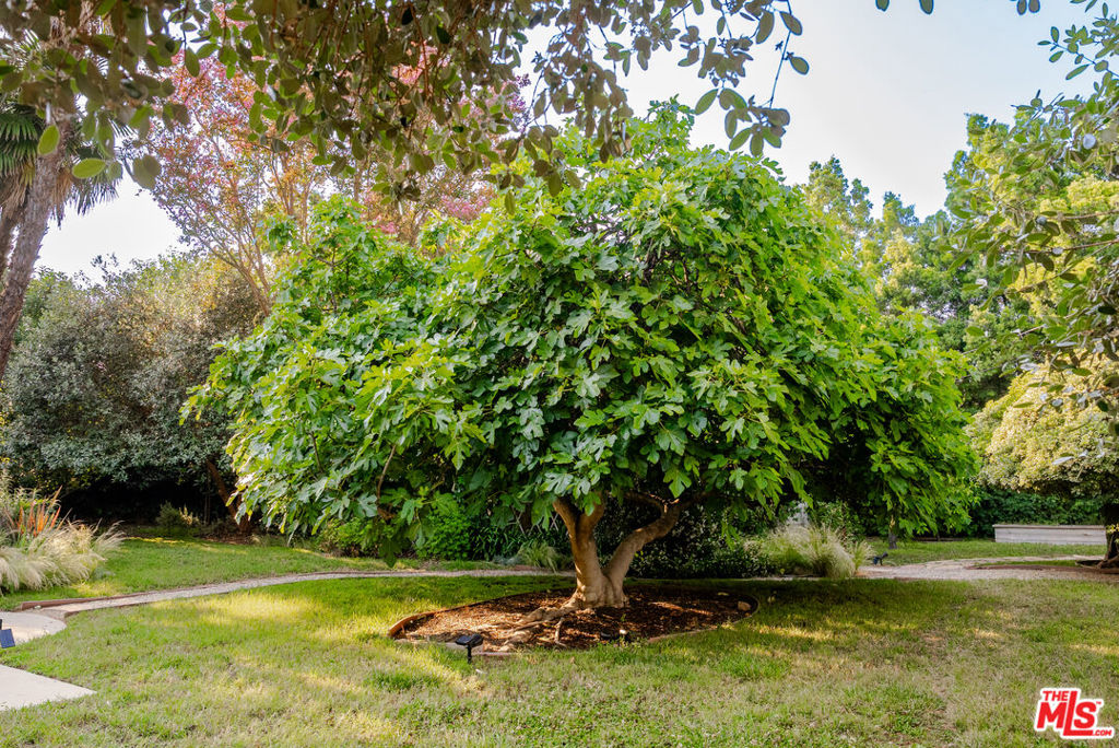 17401 Londelius Street Property Photo 16