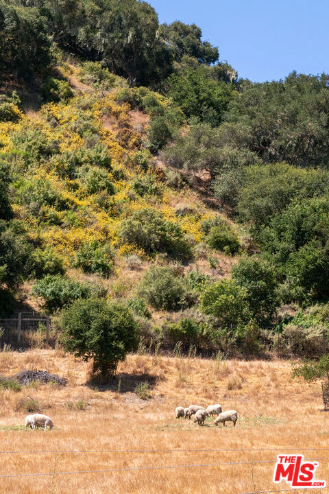 8630 Santa Rosa Road Property Photo 59