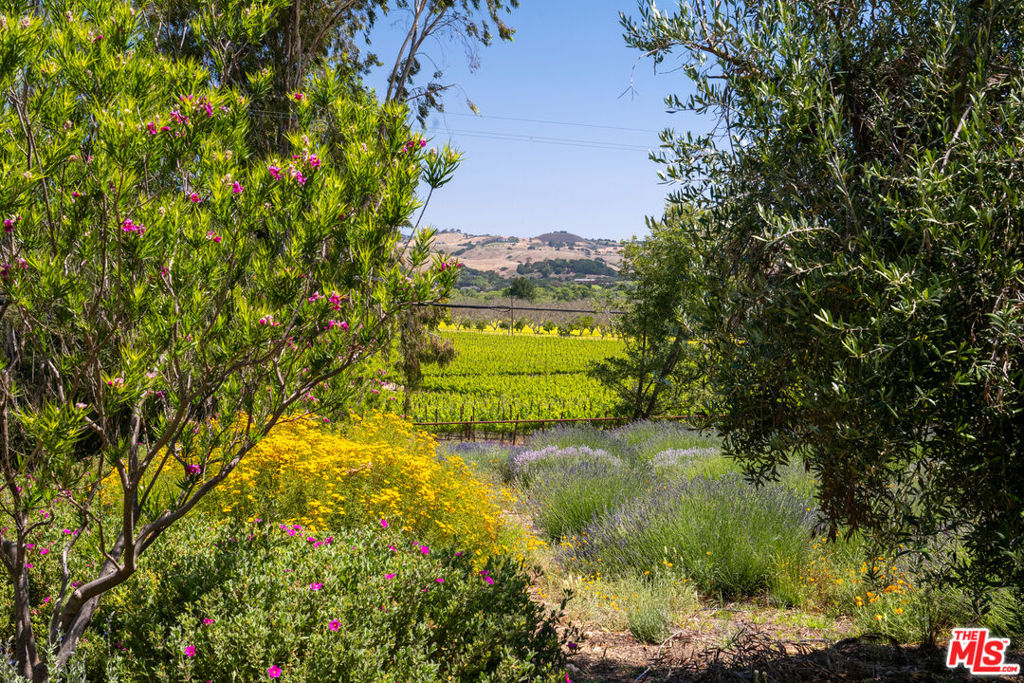 8630 Santa Rosa Road Property Photo 62