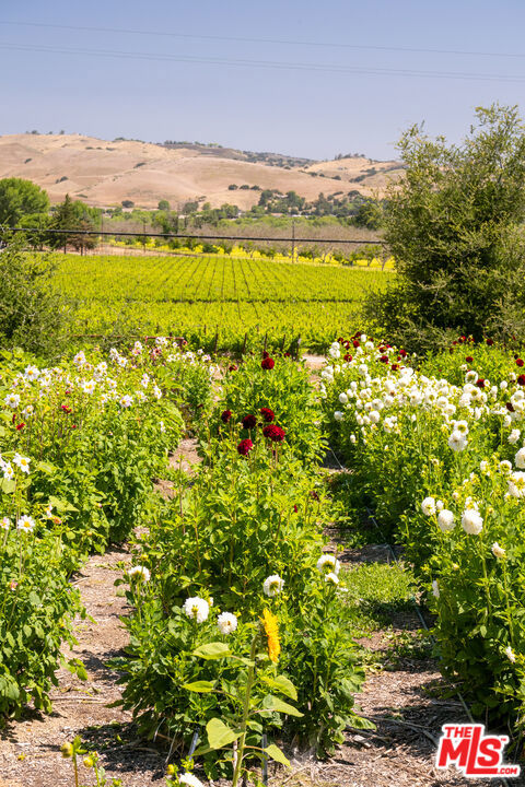 8630 Santa Rosa Road Property Photo 64