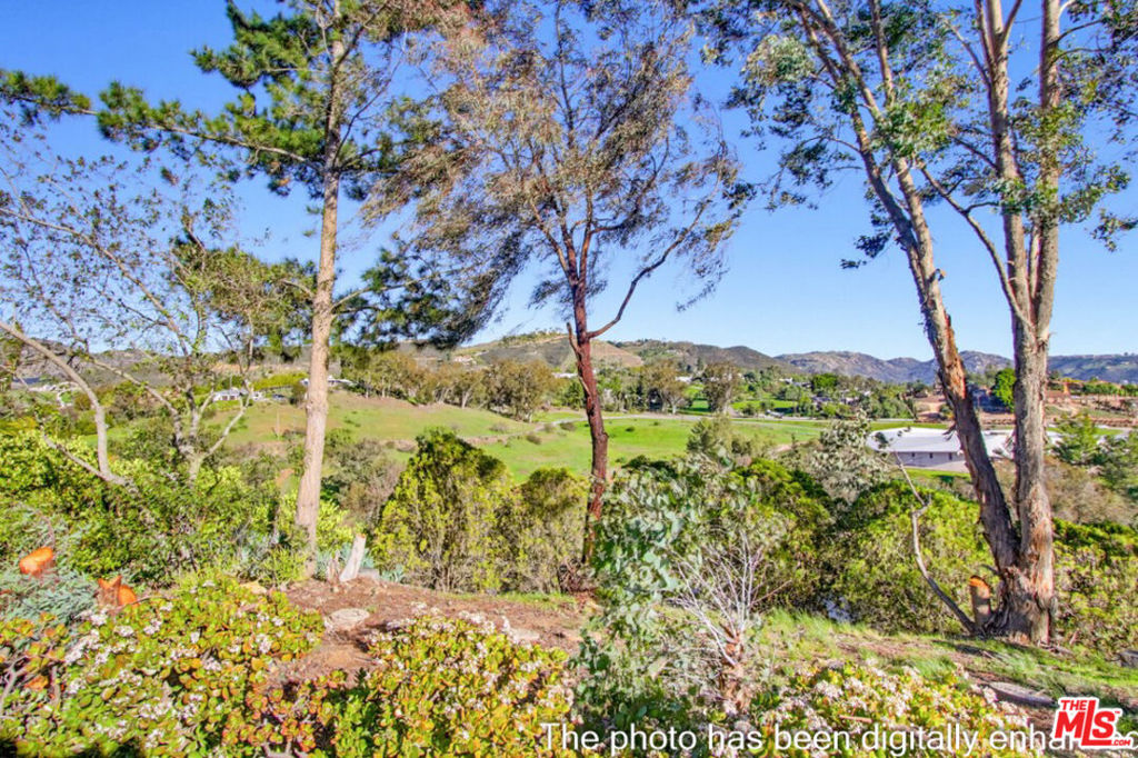 3709 Buena Creek Road Property Photo 37