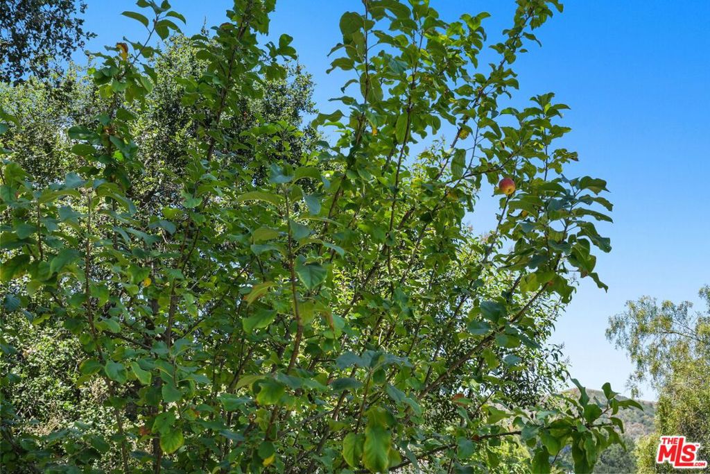 22013 Upper Alta Drive Property Photo 53