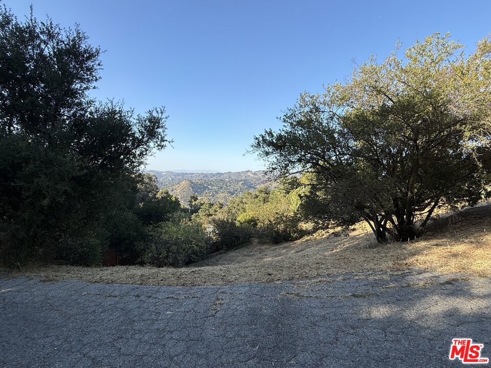 0 Medley Lane Property Photo 12