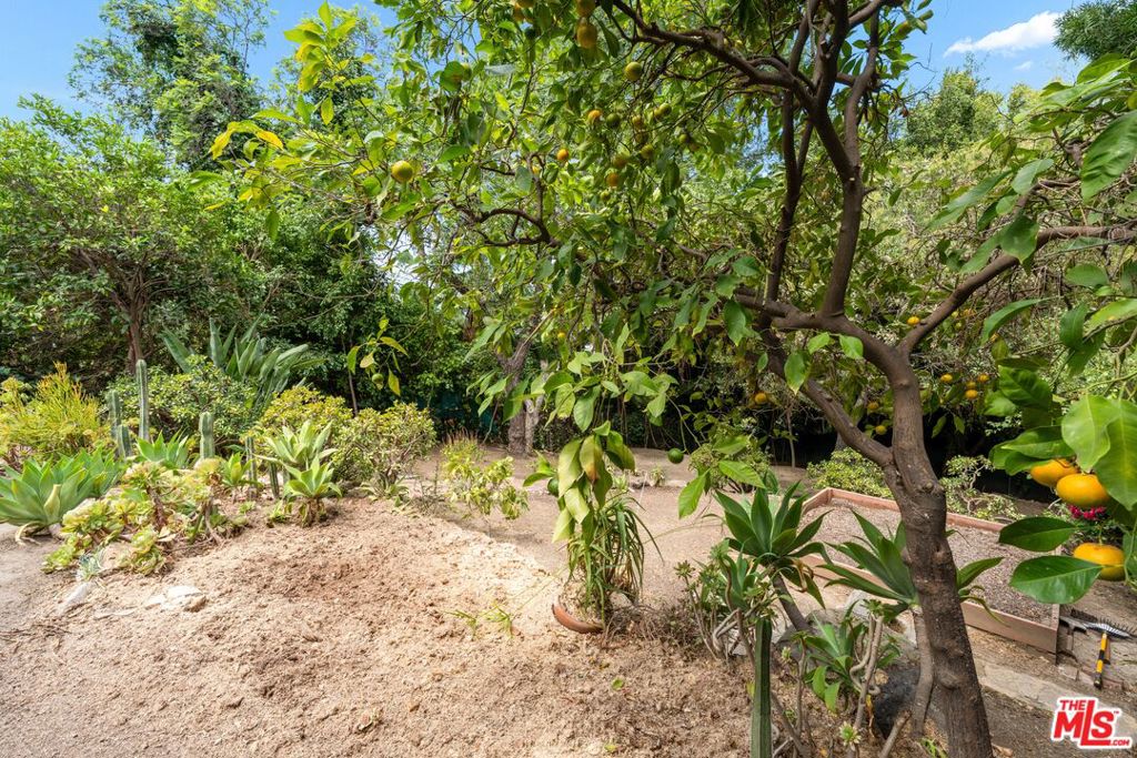 1843 Lucile Avenue Property Photo 47