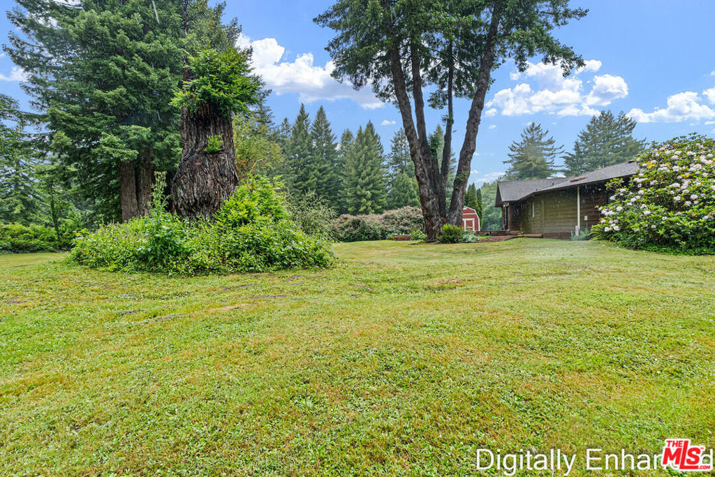 220 Malvin Murphy Lane Property Photo 4