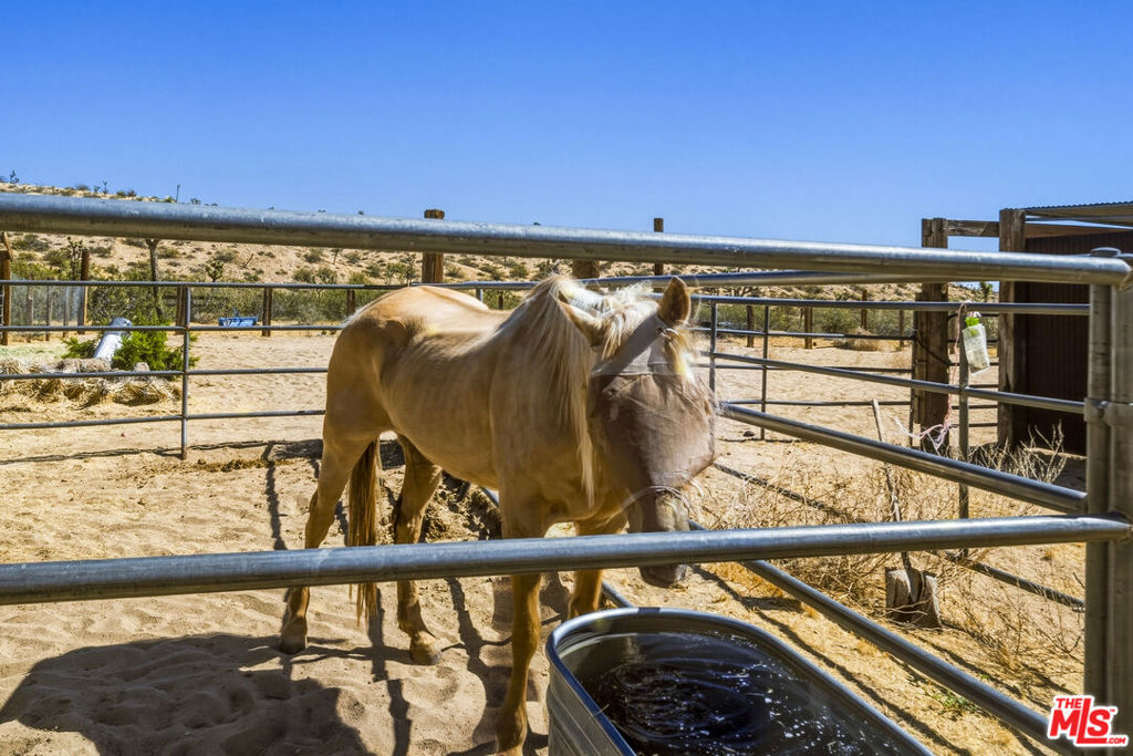 55626 Pipes Canyon Road Property Photo 60