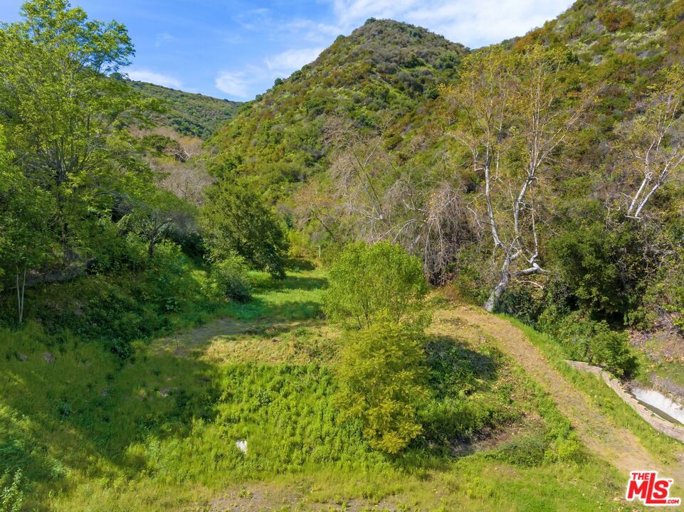 3375 Mandeville Canyon Road Property Photo 5