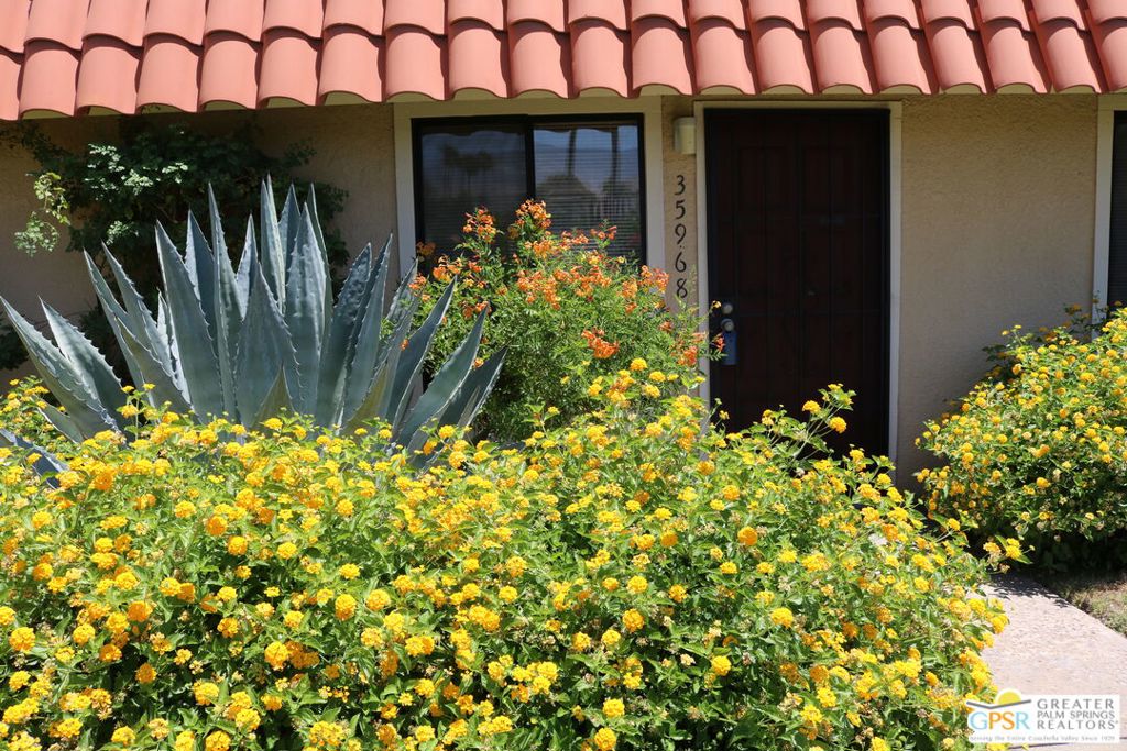 35968 Lindera Court Property Photo 2