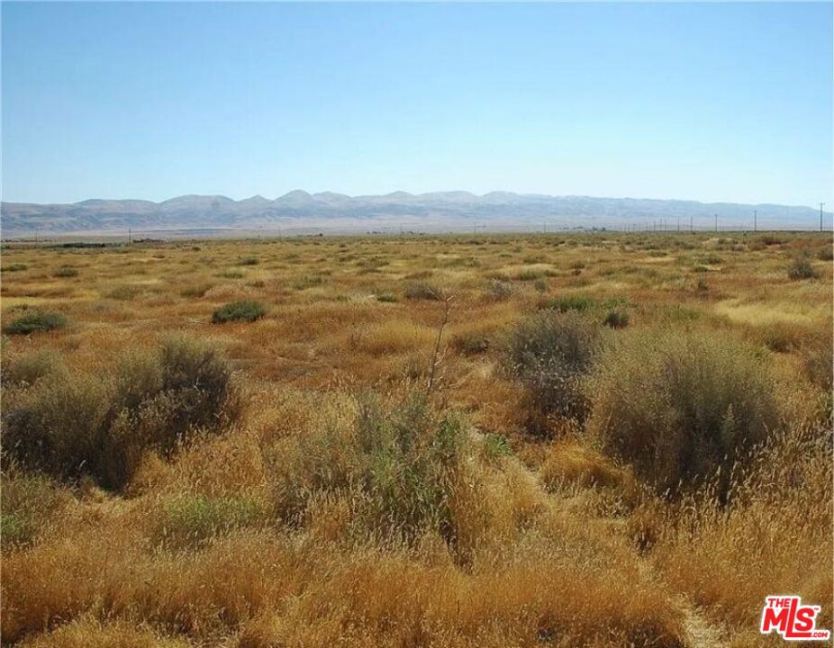 0 Burson Road Property Photo 4