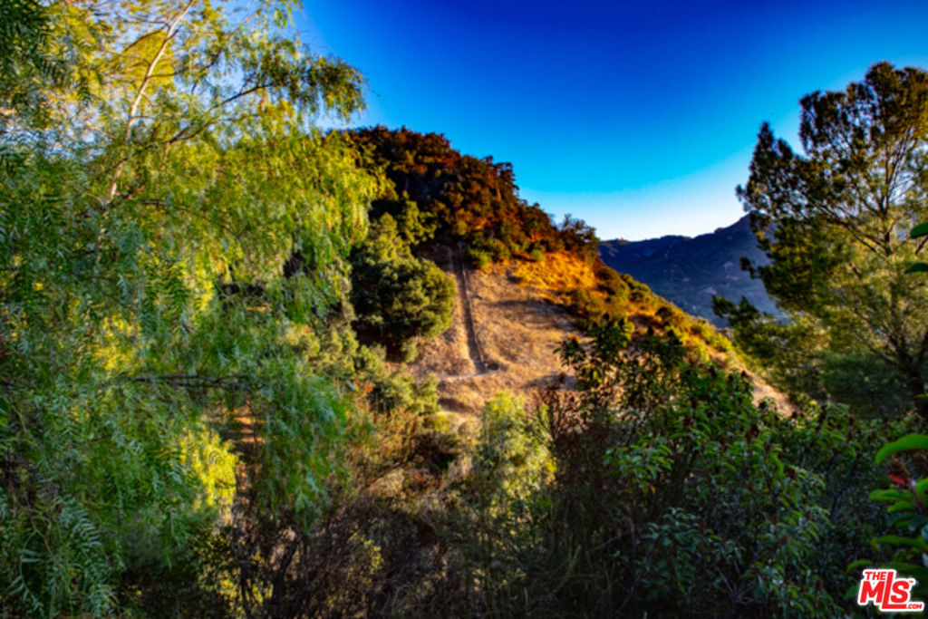 2521 Topanga Skyline Drive Property Photo 21