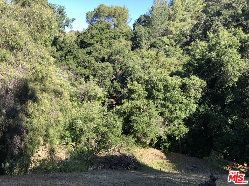 2521 Topanga Skyline Drive Property Photo 35