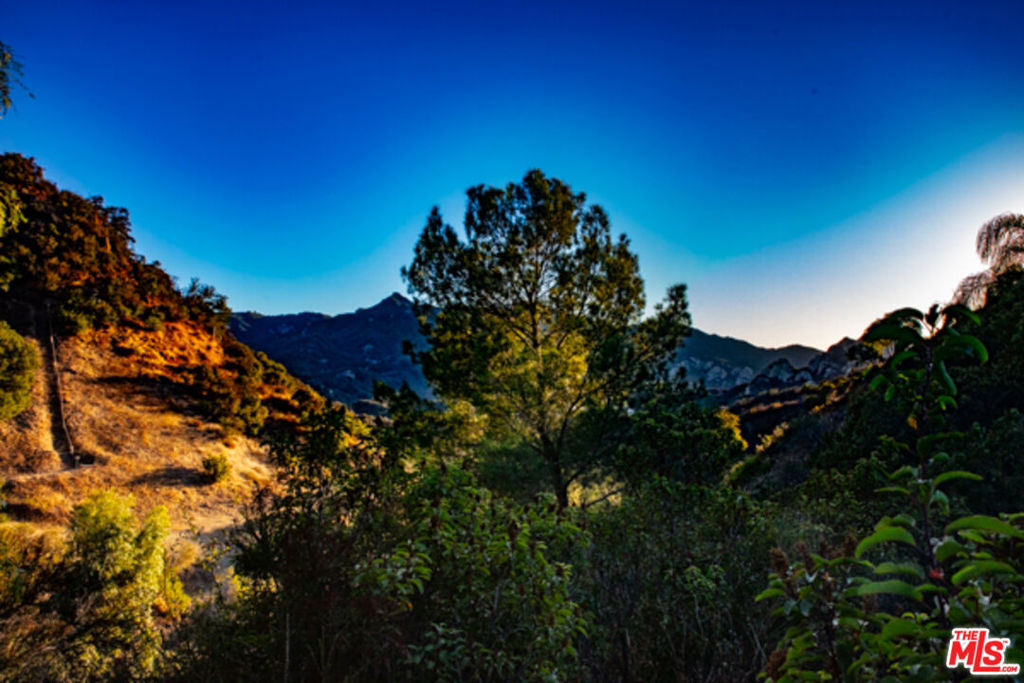 2521 Topanga Skyline Drive Property Photo 54