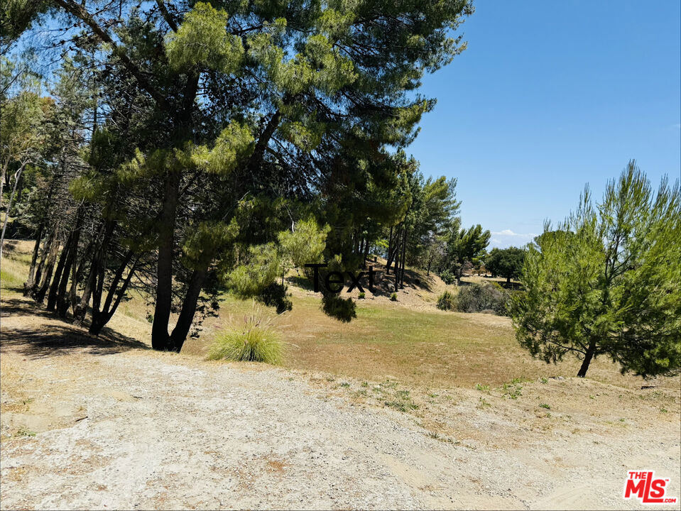 22030 Saddlepeak Property Photo 3