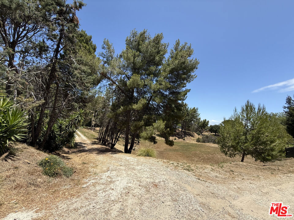 22030 Saddlepeak Property Photo 4