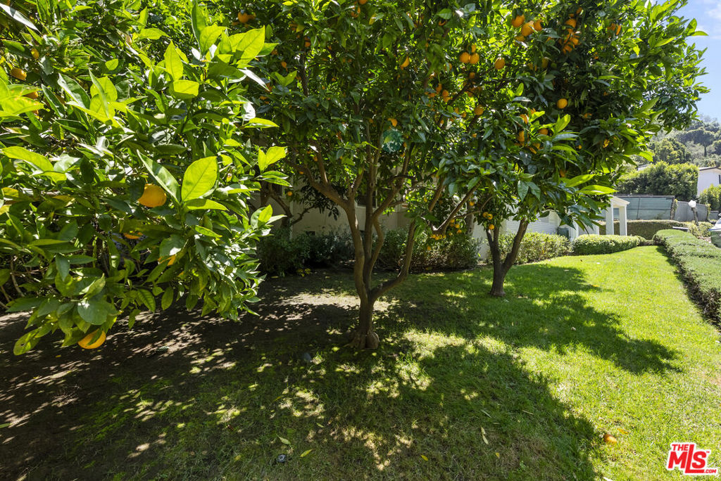 10630 Somma Way Property Photo 35