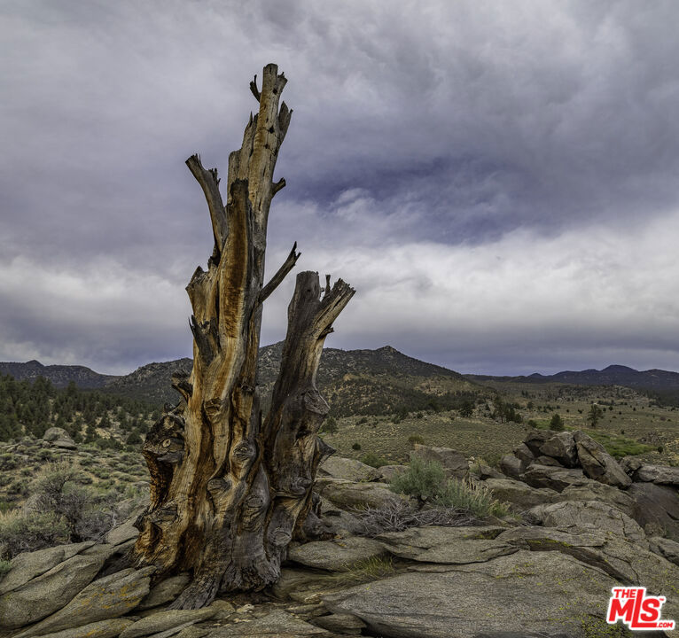 0 Pinon Drive Property Photo 6
