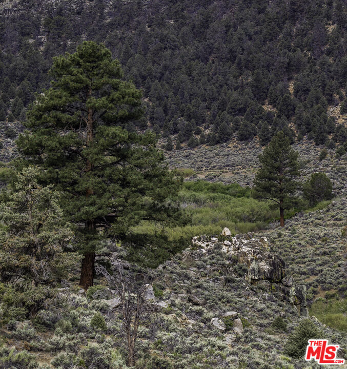 0 Pinon Drive Property Photo 7