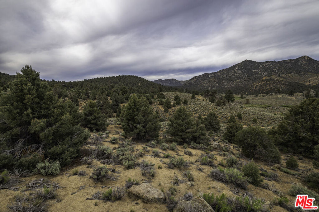 0 Pinon Drive Property Photo 8