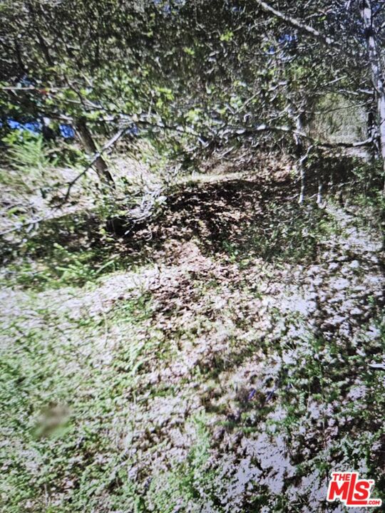 7239 Thorndale Drive Property Photo 6