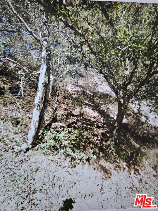 7207 Thorndale Drive Property Photo 2