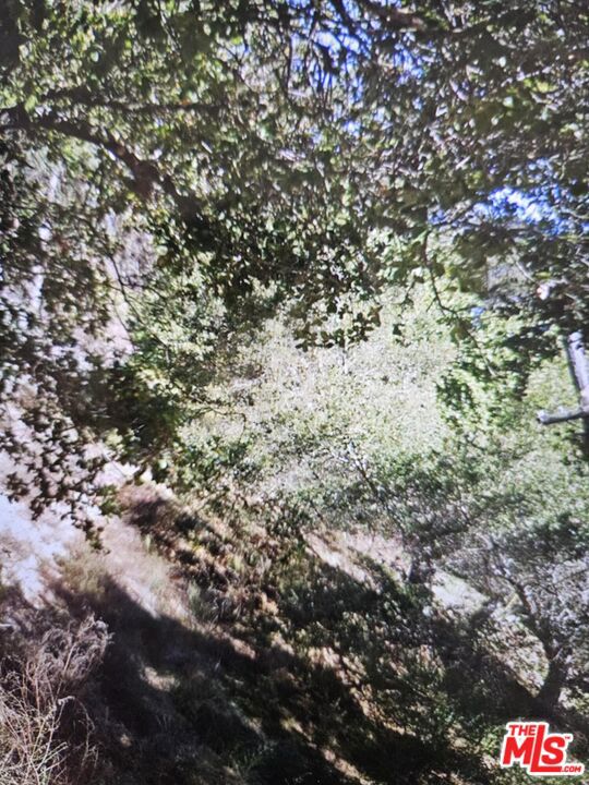 7207 Thorndale Drive Property Photo 5