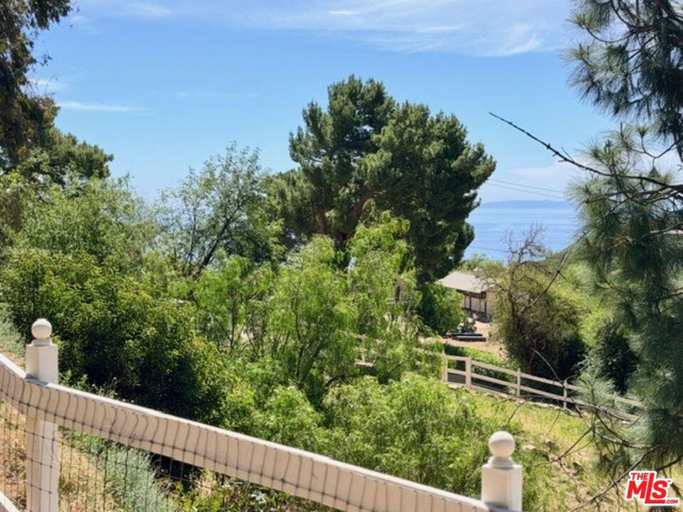 3800 Latigo Canyon Road Property Photo 43