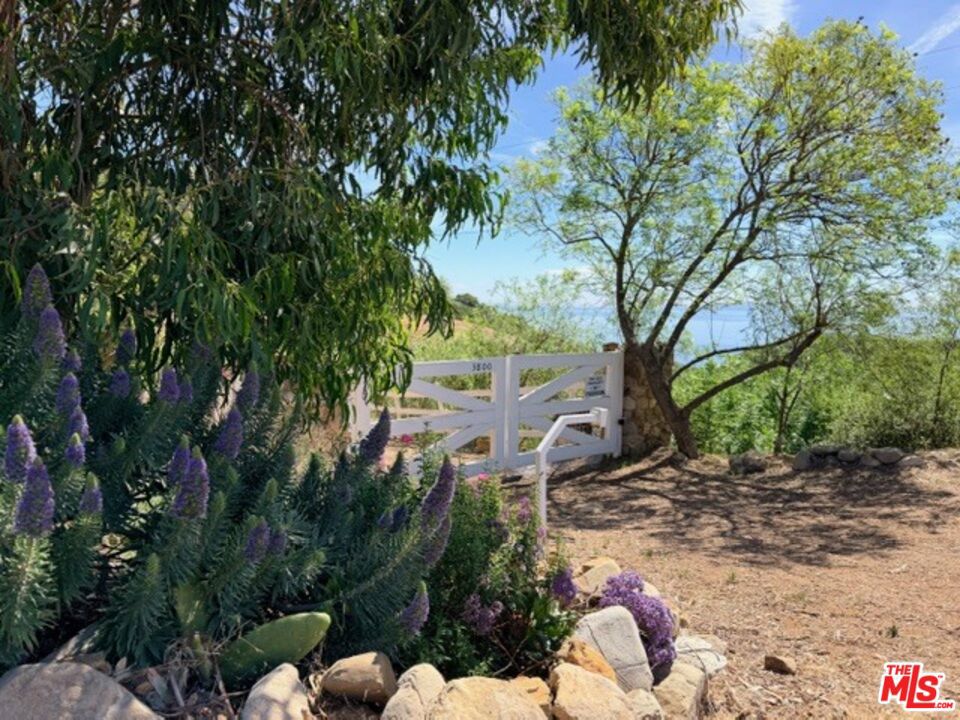 3800 Latigo Canyon Road Property Photo 60
