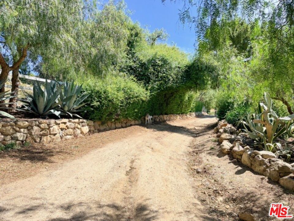 3800 Latigo Canyon Road Property Photo 63