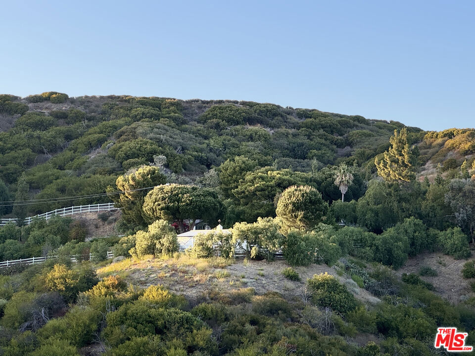 3800 Latigo Canyon Road Property Photo 71