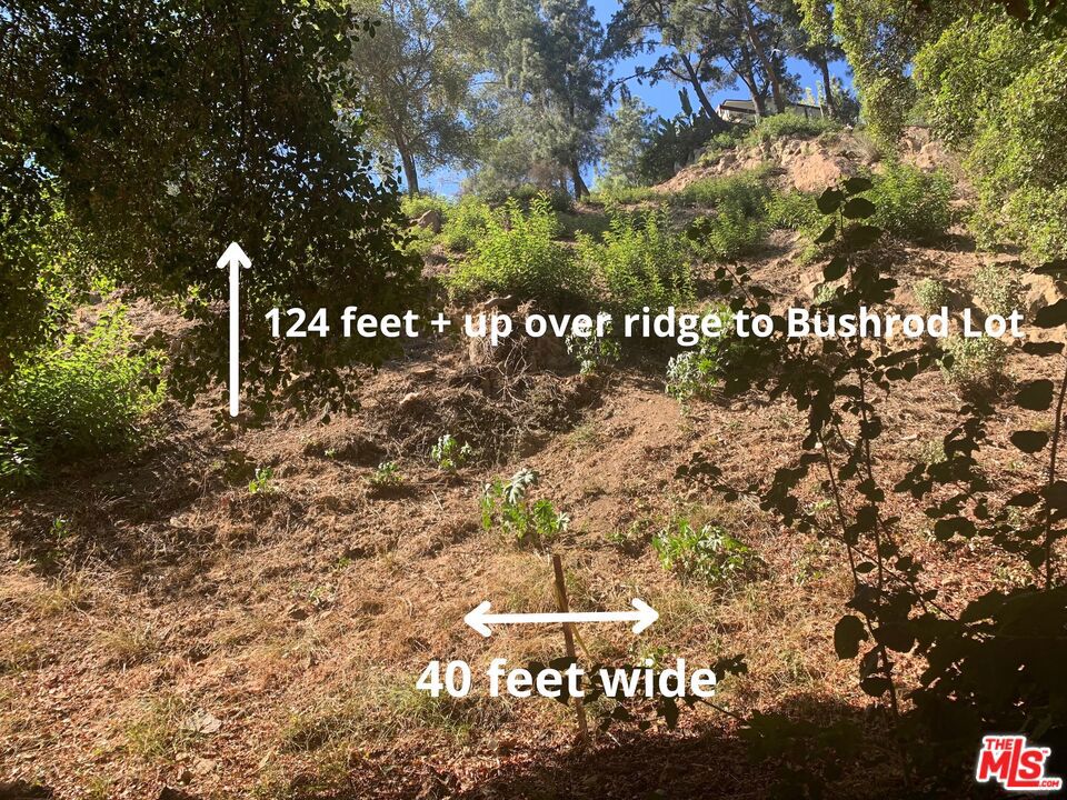 2311 N Beverly Glen Place Property Photo 6